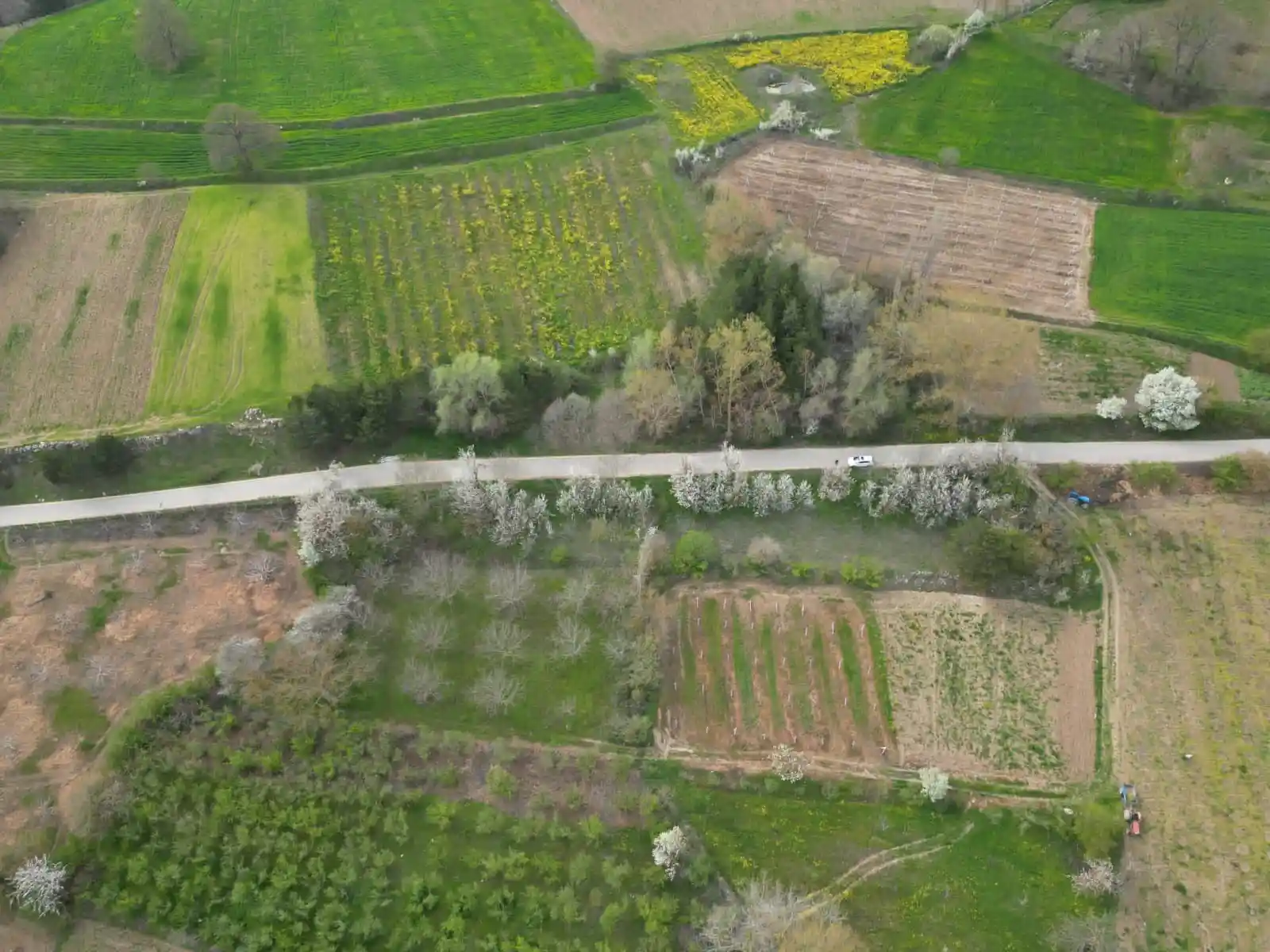 Kocaali emlak