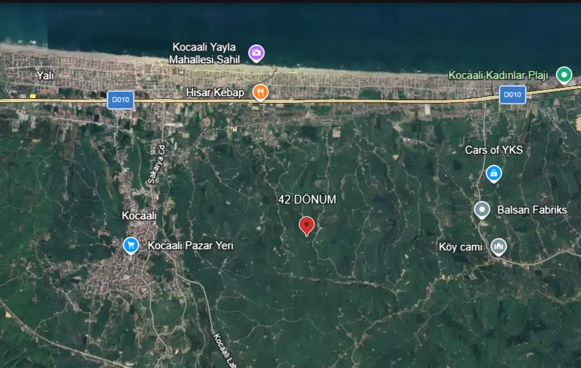 Kocaali Alandere'de 42 Dönüm Dev Çiftlik Arazisi | Evli ve Tam Altyapılı