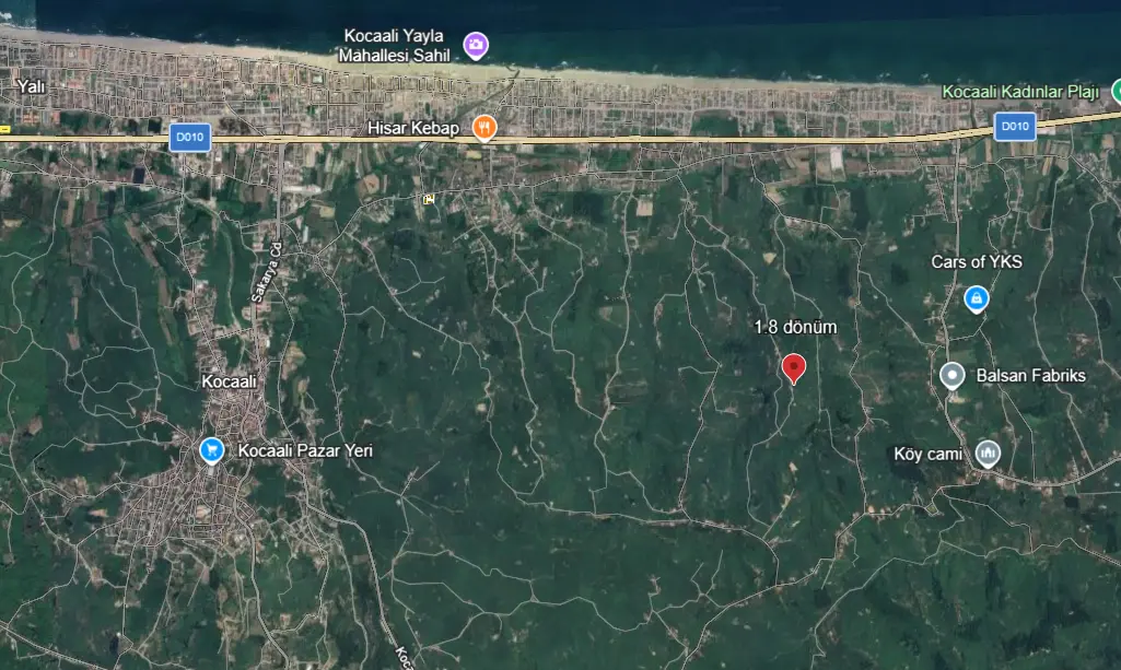 Kocaali Alandere'de Deniz Manzaralı, Hazır Kurulu Düzen Evli Fındıklık