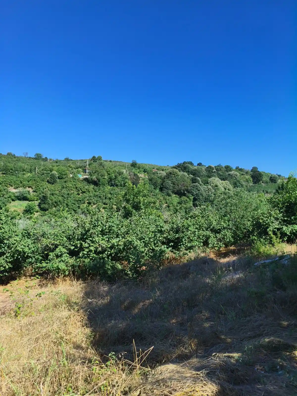Kocaali emlak