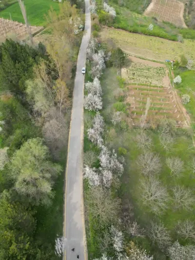 Geyve Yaylak’ta Asfalt Yola Cephe Mahsullü Meyve Bahçesi - 1.651 m² Müstakil Tapu