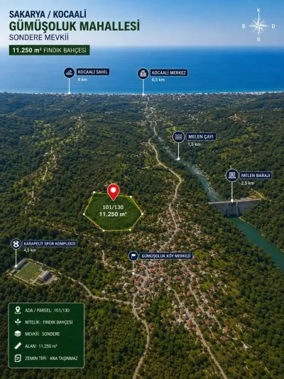 Kocaali Satılık Fındık Bahçesi (11.258 m²)